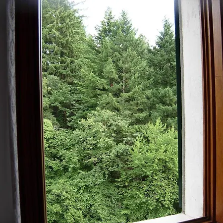 Apartment Il Pino Amiata Arcidosso