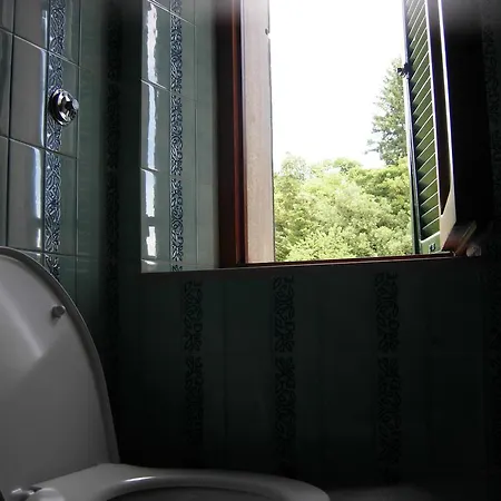 Il Pino Amiata Arcidosso