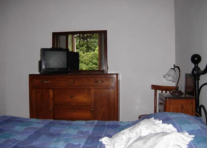 Il Pino Amiata アルチドッソ